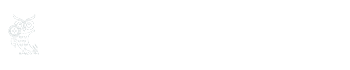 Recensione Wisewand